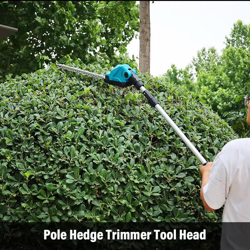 Cordless Pole Hedge Trimmer 2  - Cordless Hedge Trimmer Pole 2 In 1 评论和价格