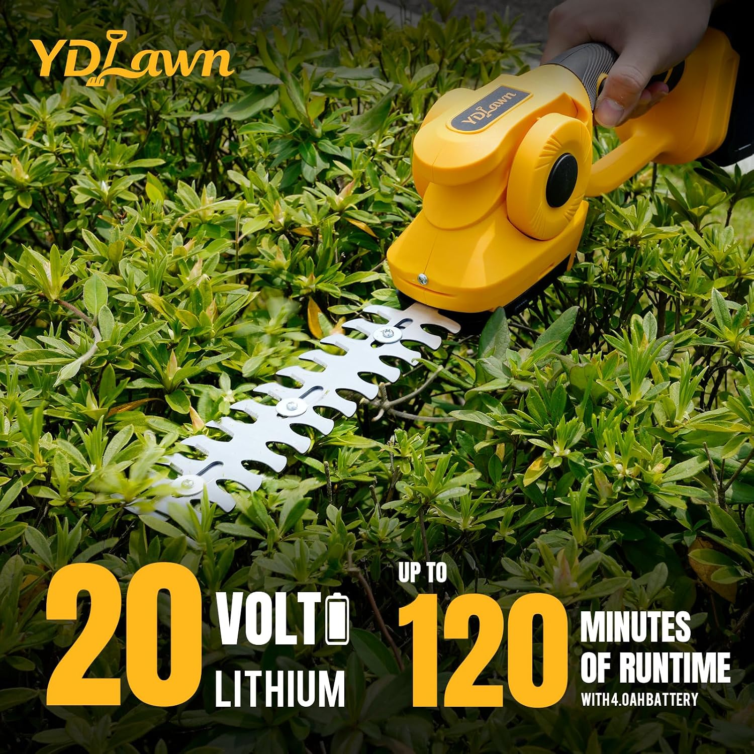 2-in-1 20V Cordless Pole Hedge - Cordless Hedge Trimmer Pole 2 In 1 评论和价格
